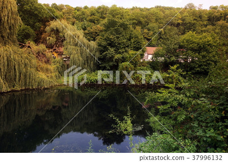 EUROPE GERMANY BLACKFOREST 37996132