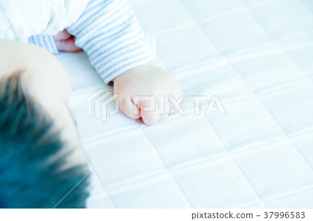 Baby, baby, baby, baby, baby, child, person, Japanese Baby, baby, baby, baby, baby, child, person, Japanese 37996583