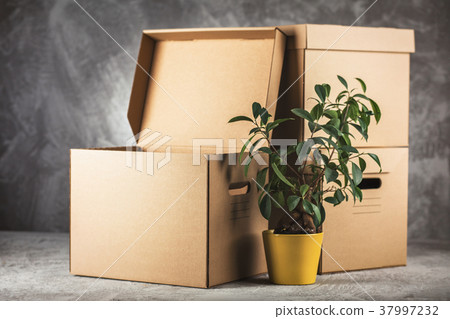 Cardboard boxes on grey background 37997232