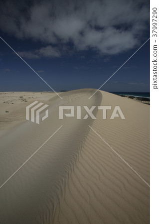 EUROPE CANARY ISLANDS FUERTEVENTURA EUROPE CANARY ISLANDS FUERTEVENTURA 37997290