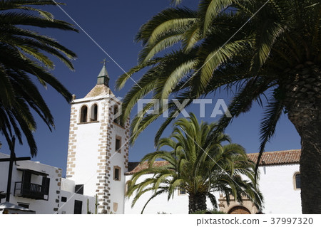 EUROPE CANARY ISLANDS FUERTEVENTURA EUROPE CANARY ISLANDS FUERTEVENTURA 37997320