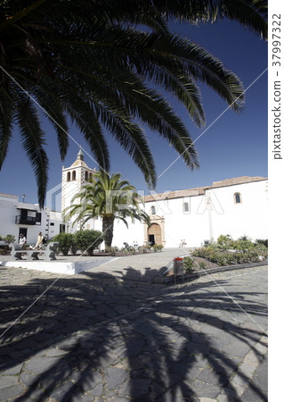 EUROPE CANARY ISLANDS FUERTEVENTURA 37997322