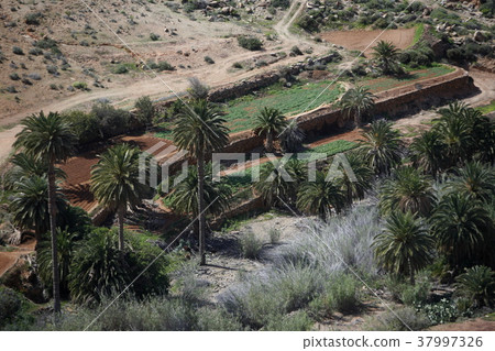 EUROPE CANARY ISLANDS FUERTEVENTURA EUROPE CANARY ISLANDS FUERTEVENTURA 37997326