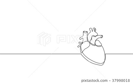 Single continuous line art anatomical human heart - Stock Illustration ...