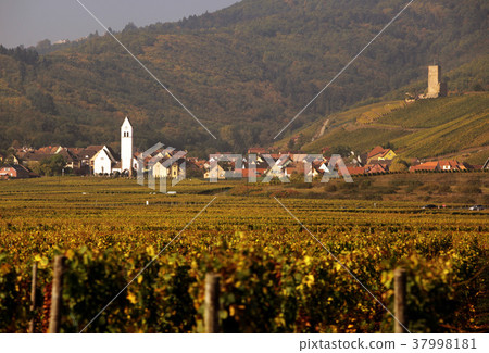 EUROPE FRANCE ALSACE 37998181