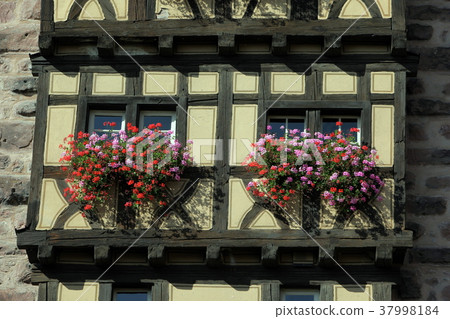 EUROPE FRANCE ALSACE 37998184