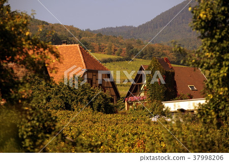 EUROPE FRANCE ALSACE 37998206