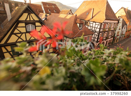 EUROPE FRANCE ALSACE 37998260