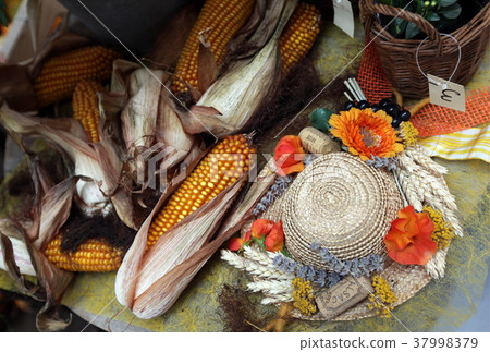 EUROPE FRANCE ALSACE 37998379