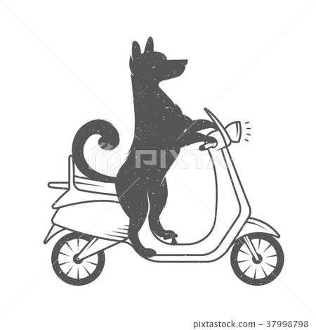 Vector Illustration Funny Dog 37998798