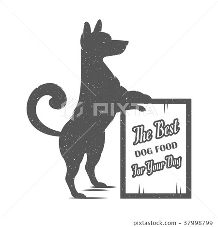 Vector Illustration Funny Dog 37998799