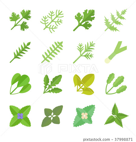 Set Vector Flat Icons of Greenery 37998871