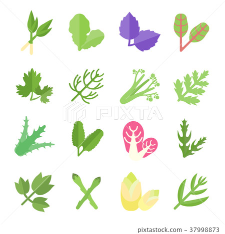 Set Vector Flat Icons of Greenery Set Vector Flat Icons of Greenery 37998873