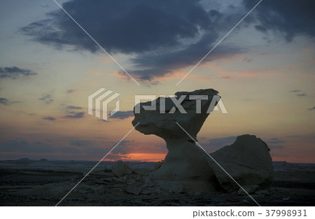 AFRICA EGYPT SAHARA FARAFRA WHITE DESERT AFRICA EGYPT SAHARA FARAFRA WHITE DESERT 37998931