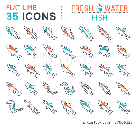 Set Vector Line Icons of Freshwater Fish 37999123