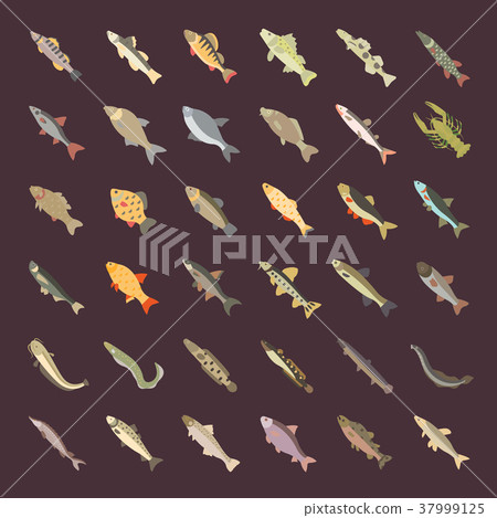 Set Vector Flat Icons of Freshwater Fish 37999125