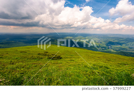 grassy carpet of the mountain meadow grassy carpet of the mountain meadow 37999227
