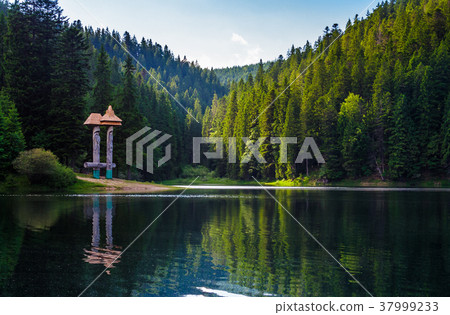 beautiful scenery of Synevyr lake 37999233