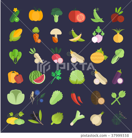Set Vector Illustration of Vegetables Set Vector Illustration of Vegetables 37999338