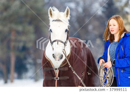 Young teenage girl with white horse in winter park Young teenage girl with white horse in winter park 37999511