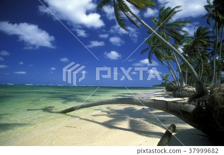 AMERICA CARIBBIAN SEA DOMINICAN REPUBLIC AMERICA CARIBBIAN SEA DOMINICAN REPUBLIC 37999682