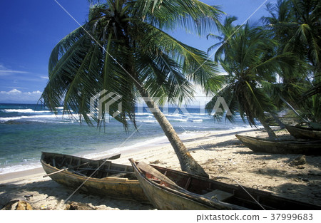 AMERICA CARIBBIAN SEA DOMINICAN REPUBLIC 37999683