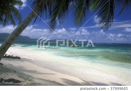 AMERICA CARIBBIAN SEA DOMINICAN REPUBLIC 37999685