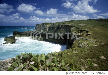 AMERICA CARIBBIAN SEA DOMINICAN REPUBLIC 37999687