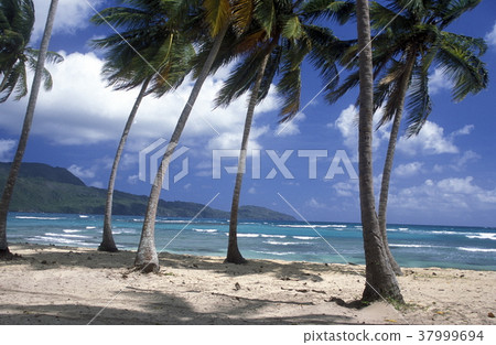AMERICA CARIBBIAN SEA DOMINICAN REPUBLIC 37999694