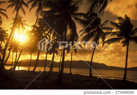 AMERICA CARIBBIAN SEA DOMINICAN REPUBLIC 37999698