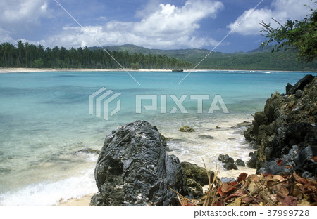 AMERICA CARIBBIAN SEA DOMINICAN REPUBLIC 37999728
