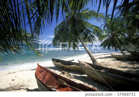 AMERICA CARIBBIAN SEA DOMINICAN REPUBLIC 37999731