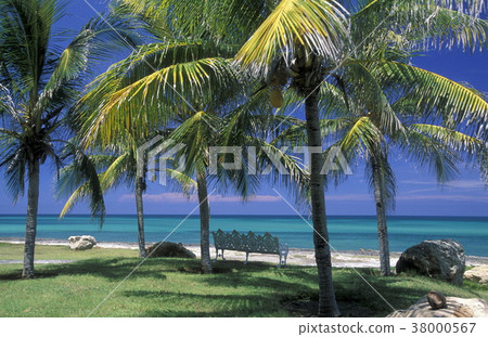 AMERICA CUBA VARADERO BEACH AMERICA CUBA VARADERO BEACH 38000567
