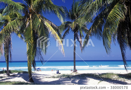 AMERICA CUBA VARADERO BEACH AMERICA CUBA VARADERO BEACH 38000578