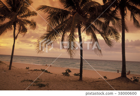 AMERICA CUBA VARADERO BEACH AMERICA CUBA VARADERO BEACH 38000600