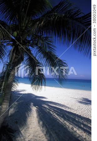 AMERICA CUBA VARADERO BEACH 38001049