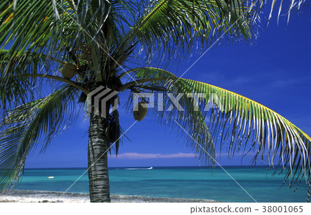 AMERICA CUBA VARADERO BEACH AMERICA CUBA VARADERO BEACH 38001065
