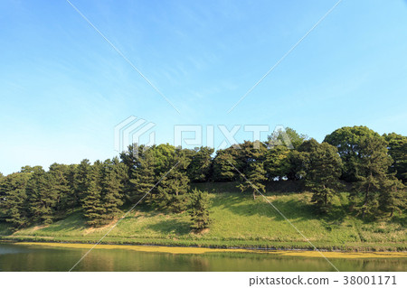 城市風光（東京，東京都警察局，新綠） 38001171