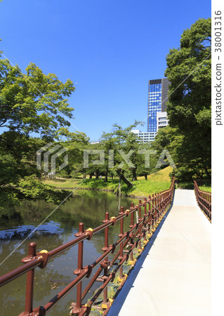 Garden scenery (Tokyo, Koishikawa Korakuen, early summer) 38001316