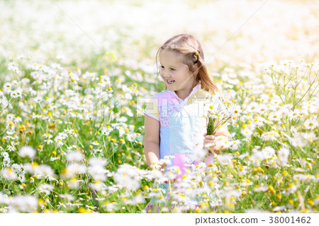 Little girl picking flowers in daisy field Little girl picking flowers in daisy field 38001462