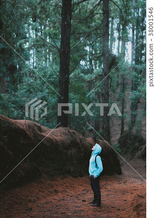 Traveler wearing hood in the mysterious lush pine Traveler wearing hood in the mysterious lush pine 38001546