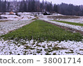 green grass field on a rainy day	 38001714