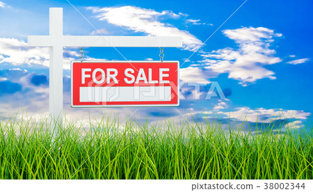 For Sale sign in green grass, 3d rendering 38002344