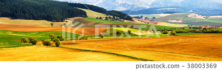 Spring tillage on hills panorama.  38003369