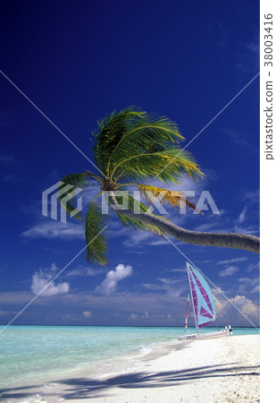 ASIA INDIAN OCEAN MALDIVES SEASCAPE BEACH 38003416