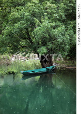 EUROPE BALKAN MONTENEGRO SKADAR LAKE 38003679