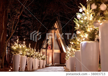 Christmas lights in Karuizawa Christmas lights in Karuizawa 38003713