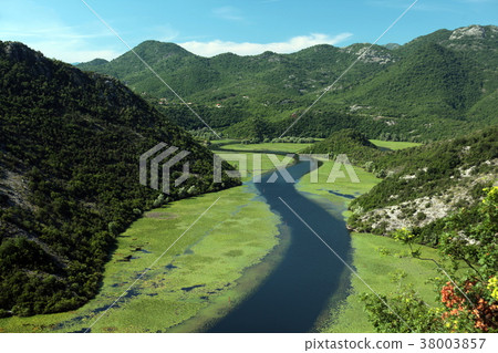 EUROPE BALKAN MONTENEGRO SKADAR LAKE 38003857
