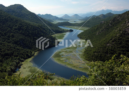 EUROPE BALKAN MONTENEGRO SKADAR LAKE 38003859