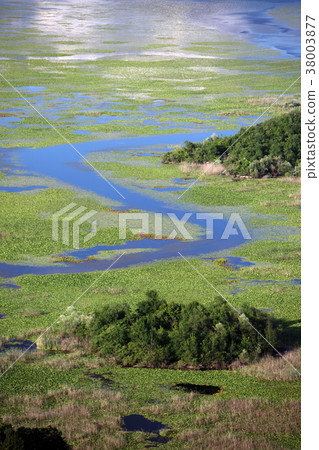 EUROPE BALKAN MONTENEGRO SKADAR LAKE 38003877